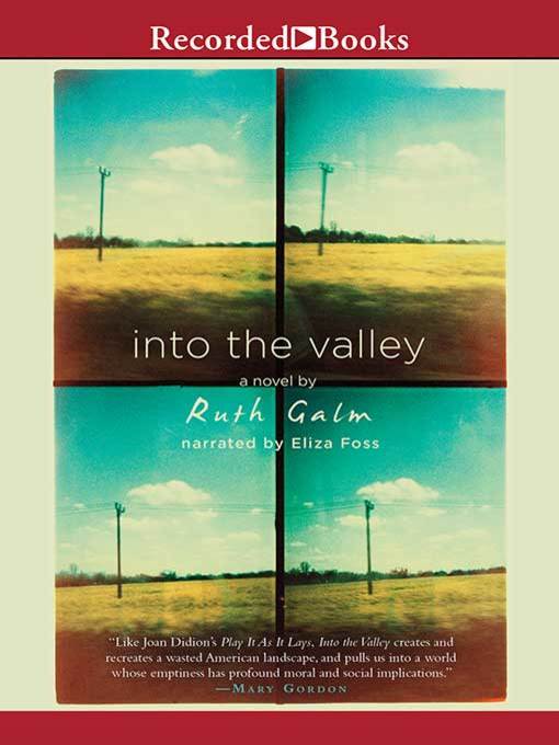 Title details for Into the Valley by Ruth Galm - Wait list